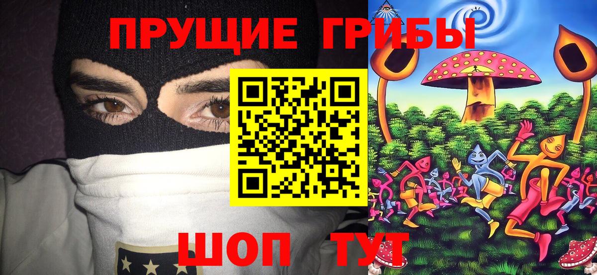 Кашира  Галлюциногенные грибы прущие грибы  Вход с VPN 